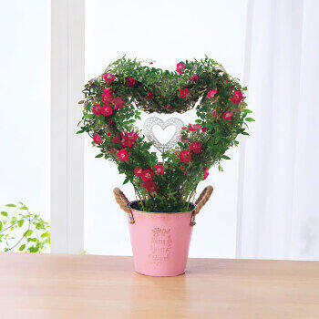 【生花】つるバラプリティーハートリング