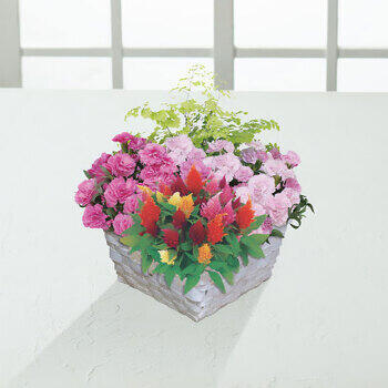 【生花】マザーズバスケット