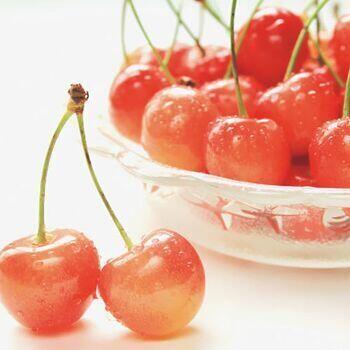 ハウスさくらんぼ佐藤錦特秀300gとカーネ