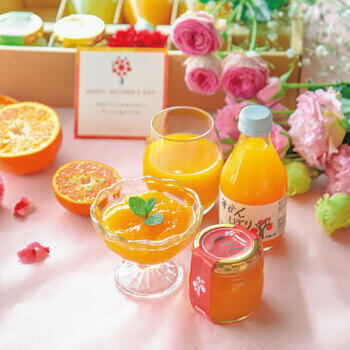 果汁100％ピュアジュース＆寒天ジュレセットV-113h