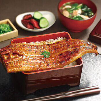 特大国産うなぎ蒲焼（長焼）600g（2尾）