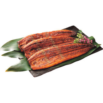 九州産　特大うなぎ蒲焼（3尾）