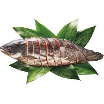 北海道産　銀毛新巻鮭姿切身（半身・600g）