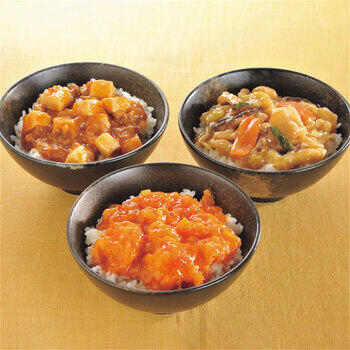 大龍ミニ丼の具3種セット（9個）