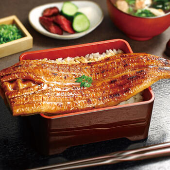 特大国産うなぎ蒲焼（長焼）600g（2尾入）（600g）