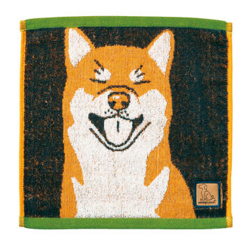 ラブアイズキャリータオル