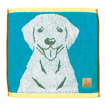 ラブアイズキャリータオル