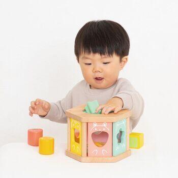 ウッディプッディ　はじめてのつみき もぐもぐボックス