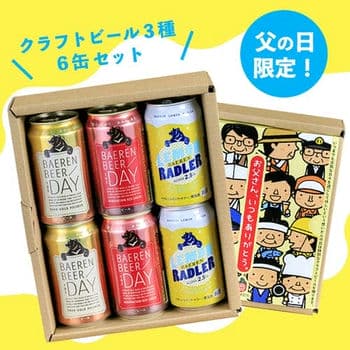 〈父の日限定！〉クラフトビール3種6缶セット