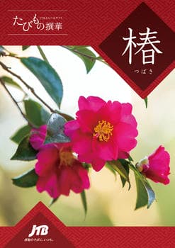 JTBえらべるギフト たびもの撰華 椿コース