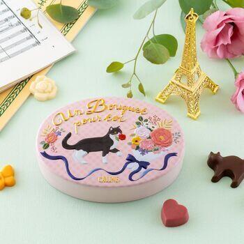 【セレクト袋付】カリーヌ（10個入）