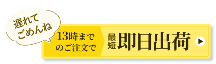 13時までのご注文で最短即日出荷