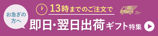 13時までのご注文で即日・翌日出荷商品はこちら