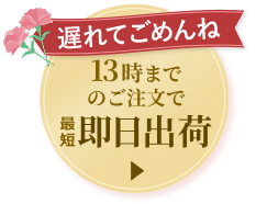遅れてごめんね 13時までのご注文で最短即日出荷