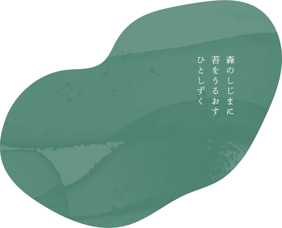森のしじまに苔をうるおすひとしずく