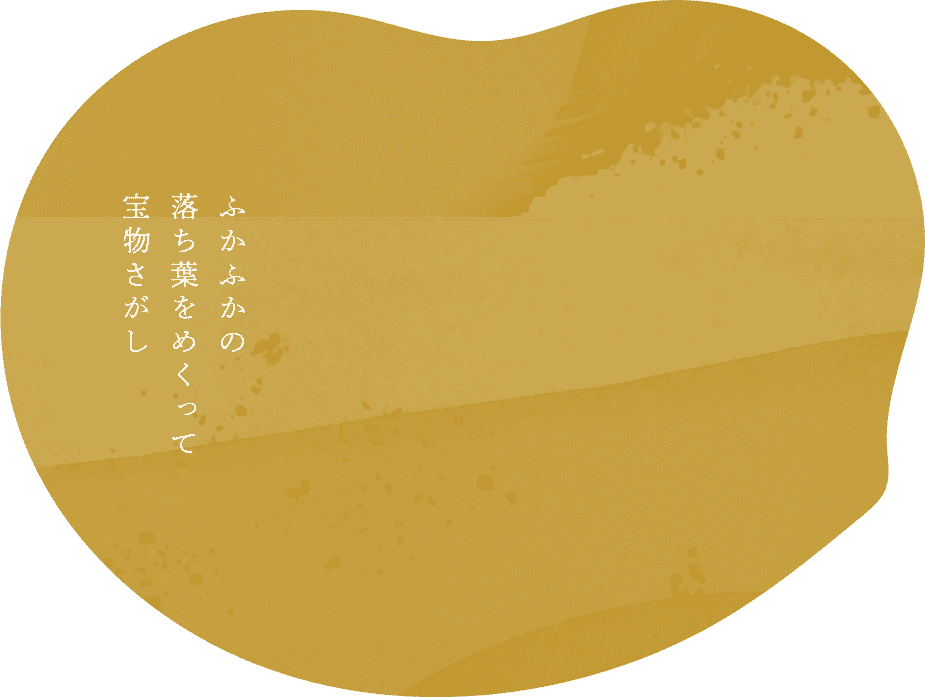 ふかふかの落ち葉をめくって宝物さがし