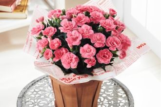 母の日をカテゴリから選ぶ：お花