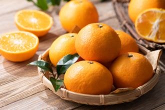 お歳暮をカテゴリから選ぶ：フルーツ